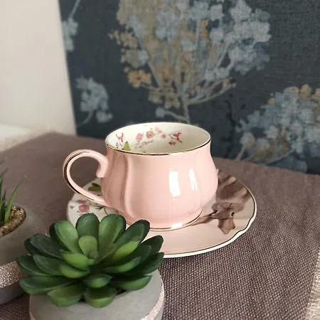 Sloneczny 슈비노우이스쳬